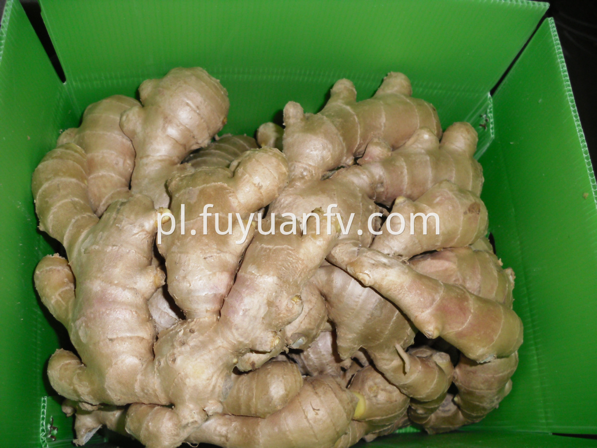 air dried ginger